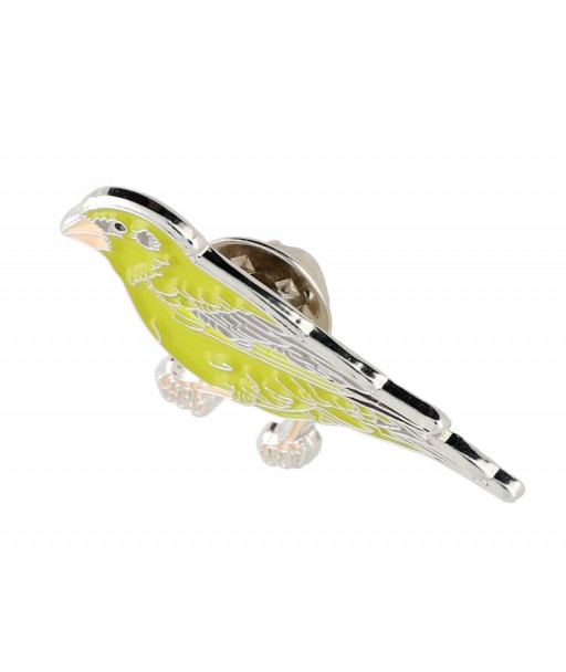 Nozīmītes Zaļžubīte